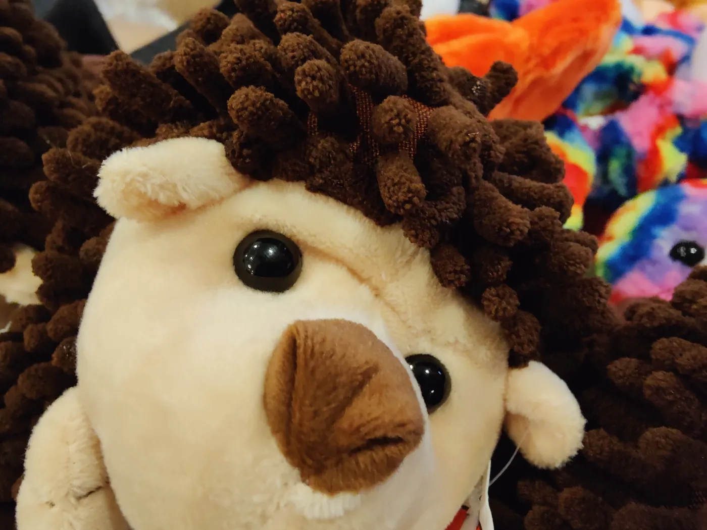 A hedgehog plush toy